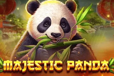 P6X မိုင်းမာ ထိပ်တန်း ကတ်ဂိမ်း ဟောင်ဘာ အကြမ်းဖျင်း