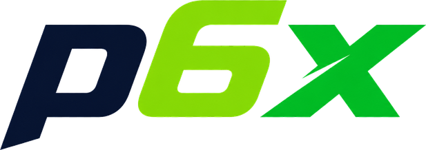 p6x Logo
